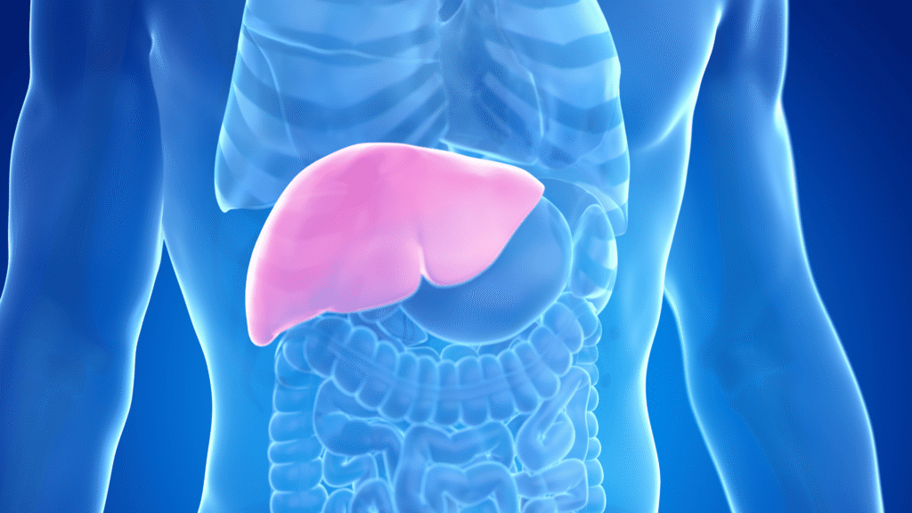 Illustration showing liver detox functions, highlighting the importance of liver health in overall wellness.