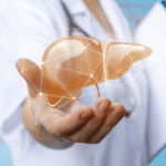 Diagram showing how liver detoxification works in two main phases.